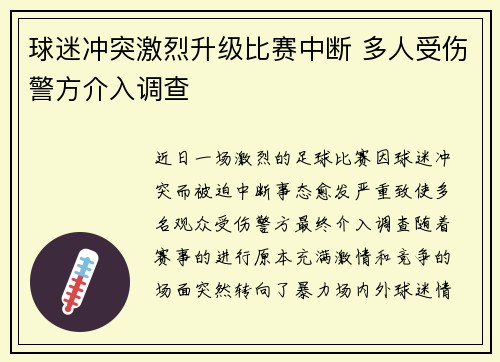 球迷冲突激烈升级比赛中断 多人受伤警方介入调查