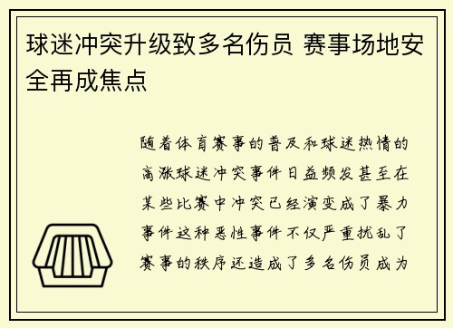 球迷冲突升级致多名伤员 赛事场地安全再成焦点